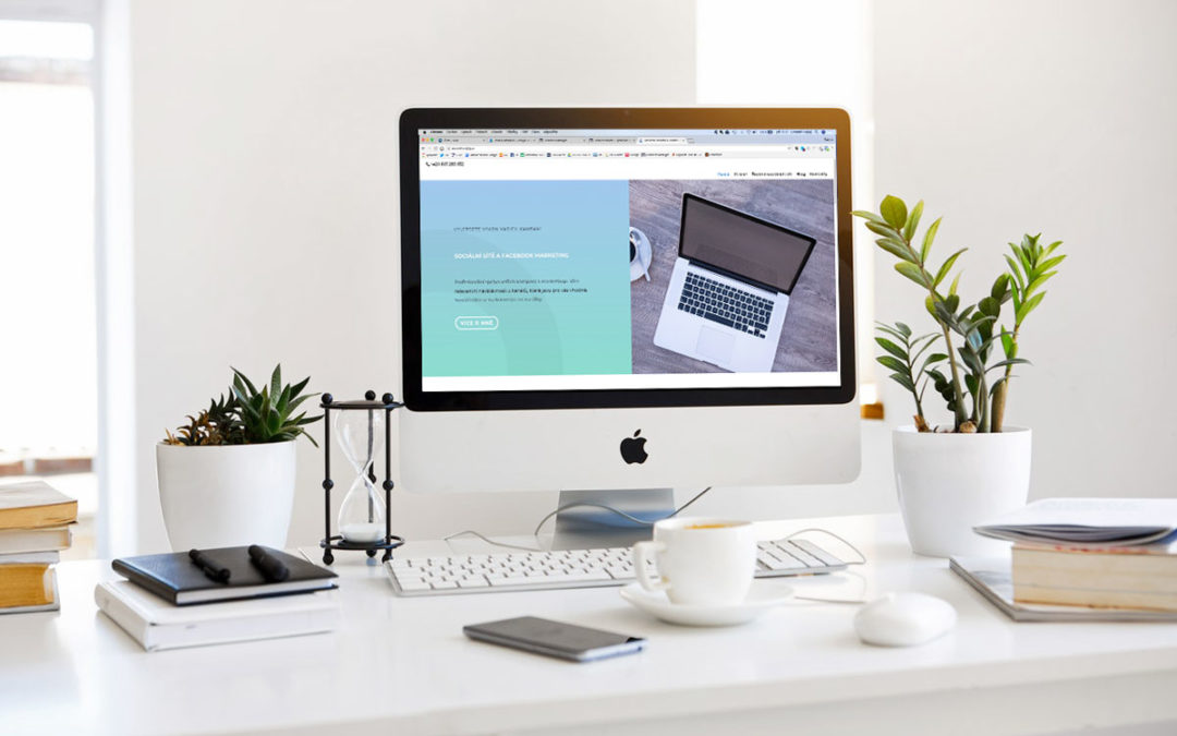 Online marketing v 10 bodech  aneb  průvodce pro online marketingem nepolíbené marketéry